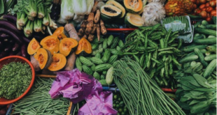 Tips Bisnis Sayuran Online yang Menguntungkan 2024